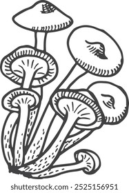 Honey fungus sketch. Natural forest mushroom icon