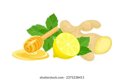 Honey, ginger, lemon and mint isolated on white. Vector cartoon flat illustration.