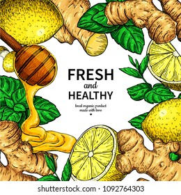 Honey, ginger, lemon and mint vector frame drawing. Wooden spoon, honey drop, herb and fruit sketch. Template for tea or cosmetic, alternative medicine, flu treatment. Label, packaging design concept