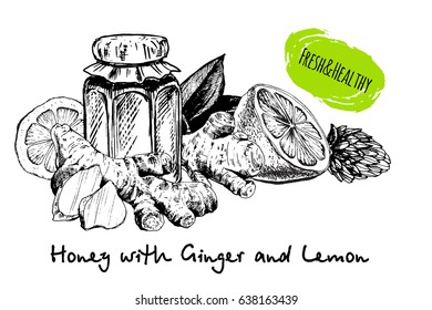 Honey with ginger and lemon in sketch hand drawn style