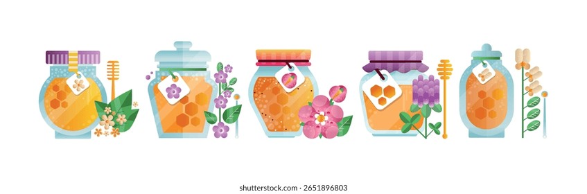 Honey in Glass Jar with Dipper and Meadow Flower Vector Set