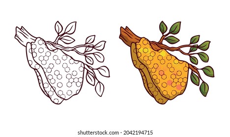 Honey hand drawn decorative icons with hive. Color and line isolated vector inl illustration.