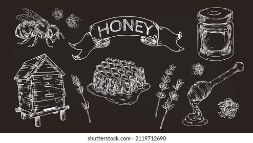 Honey  hand drawn set with honeycombs, bee, jar hive and flowers on chalkboard. Isolated vector.