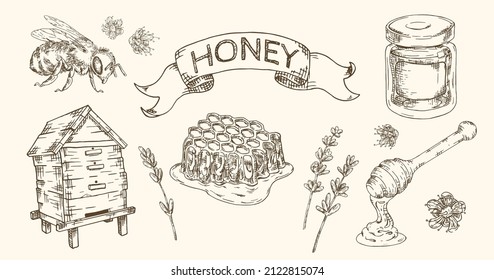 Honey  hand drawn set with honeycombs, bee, jar hive and flowers. Isolated vector.