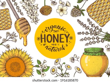 Honey hand drawn vector illustration. Healthy food illustration. Lettering Organic Honey 100% natural. Honeycomb, flowers, jar of honey