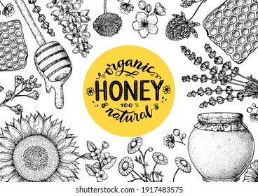 Honey hand drawn vector illustration. Healthy food illustration. Lettering Organic Honey 100% natural.  Honeycomb, flowers, jar of honey sketch.