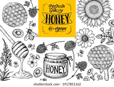 Honey hand drawn vector illustration. Honey frame, packaging label.  Healthy food illustration. Lettering Premium Quality Honey 100% Organic. Honeycomb, bee, flowers, jar of honey sketch.