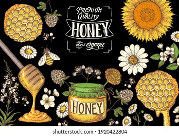 Ilustración vectorial dibujada a mano de miel. Ilustración alimenticia saludable. Leer miel orgánica 100% natural. Combo de miel, abeja, flores, tarro de miel