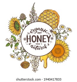 Honey hand drawn vector illustration. Healthy food illustration. Lettering Organic Honey 100% natural. 