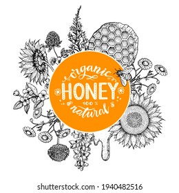 Honey hand drawn vector illustration. Healthy food illustration. Lettering Organic Honey 100% natural. Honeycomb, flowers, jar of honey sketch.