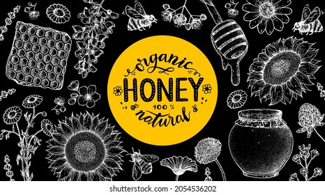 Honey hand drawn vector illustration. Healthy food illustration. Lettering Organic Honey 100% Natural. Honeycomb, flowers, jar of honey sketch