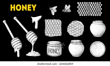 Ilustración vectorial dibujada a mano de miel. Ilustración alimenticia saludable. Elementos de diseño. Colección de dibujo manual. Ternera de miel, tarro de miel, sketch de cuentagotas.