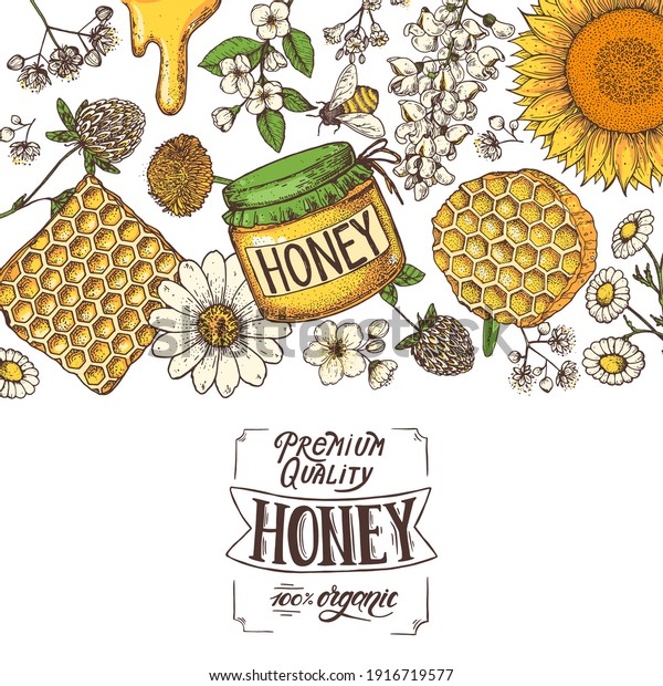 Honey Hand Drawn Vector Illustration Healthy Stock Vector (Royalty Free ...