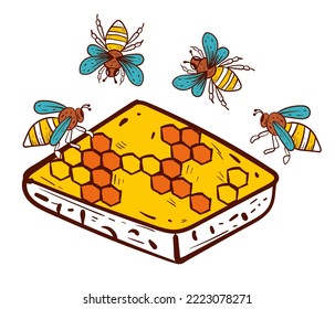 Honey hive honeycomb bee sketch line art abstract concept. Vector graphic design illustration element