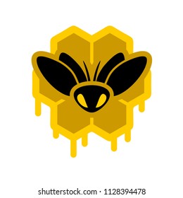 honey hive illustration