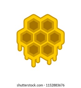 honey hive illustration