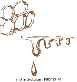 Honey, honeycomb, honey drips graphic illustration hand-drawn vector.
bees, apiary. Print, textiles. Separate element on a white background, engraving.