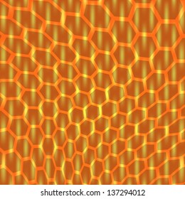 honey honeycombs