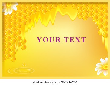 Honey with honeycombs, vector image