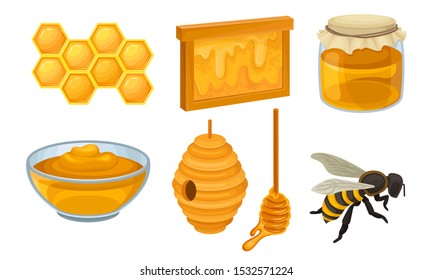 Honey Icon Set. Realistic Glossy Vector Collection