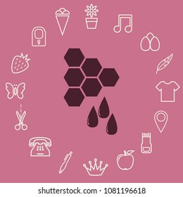 Honey icon, vector design element