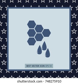 Honey icon, vector design element