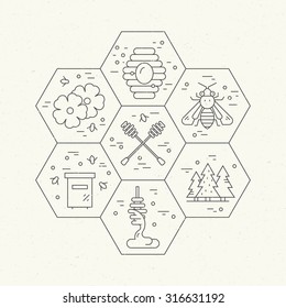 Honey industry concept - different honey related items in honeycomb, Thin line vector series.
