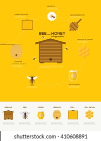 Honey infographics . Flat design vector concept illustration organic natural honey bee
