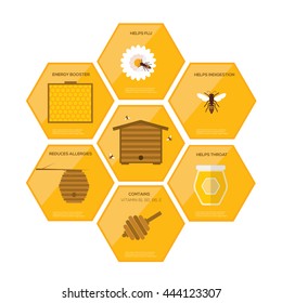 Honey infographics . Flat design vector concept illustration organic natural honey bee

