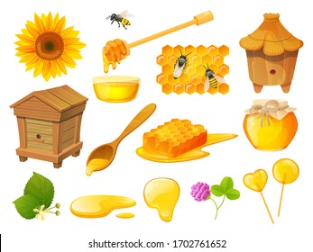 Honey isolated set, beekeeping products, wooden beehive apiary, vector illustration. Honeycomb and beeswax, natural organic sweets, jar of pure nectar. Honeybee, sunflower, wooden spoon, syrup dipper