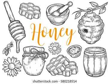Honey jar, barrel, spoon, bee, honeycomb, chamomile, vintage set. Engraved organic food hand drawn sketch illustration. Black isolated on white background.
