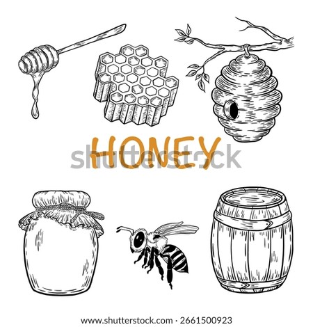  Honey jar, barrel, spoon, bee, honeycomb, chamomile, vintage set. Engraved organic food hand drawn sketch illustration. Black isolated on white background.