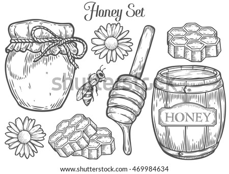 Honey jar, barrel, spoon, bee, honeycomb, chamomile, vintage set. Engraved organichoney food hand drawn honey sketch illustration. Black honey isolated on white background.