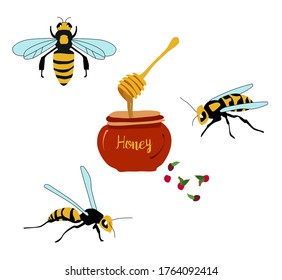 Honey jar and bee bumble bees wasps doodle poster.Cute wooden honey dipper hand drawn vector illustration. Tasty dessert poster for cafe menu. Cranberries and dripping golden syrop.Food pack,apiary