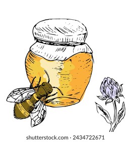 Honey jar and bee, clover background sketch. Vector illustration can used for wrapping paper, label, poster, cards. Engraved or ink vector honey illustrations. 