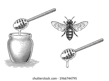 Honey jar, dipper and honey bee engraving drawing.