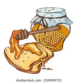 Honey jar, dipper and bread, hand drawn vector illustration isolated on white background. Vintage engraving style honey and toast bread color image for food packaging.