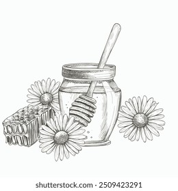 Honey Jar with Honey, Hand-Drawn Vector, Graphic Style, Cartoon Illustration, Black and White, Sketch Style, Isolated on White Background