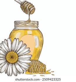 Honey Jar with Honey, Hand-Drawn Vector, Graphic Style, Cartoon Illustration, Black and White, Sketch Style, Isolated on White Background