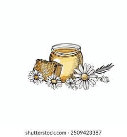 Honey Jar with Honey, Hand-Drawn Vector, Graphic Style, Cartoon Illustration, Black and White, Sketch Style, Isolated on White Background