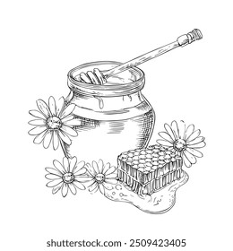 Honey Jar with Honey, Hand-Drawn Vector, Graphic Style, Cartoon Illustration, Black and White, Sketch Style, Isolated on White Background