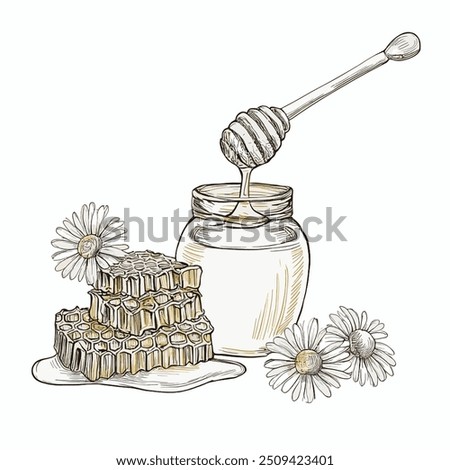 Honey Jar with Honey, Hand-Drawn Vector, Graphic Style, Cartoon Illustration, Black and White, Sketch Style, Isolated on White Background