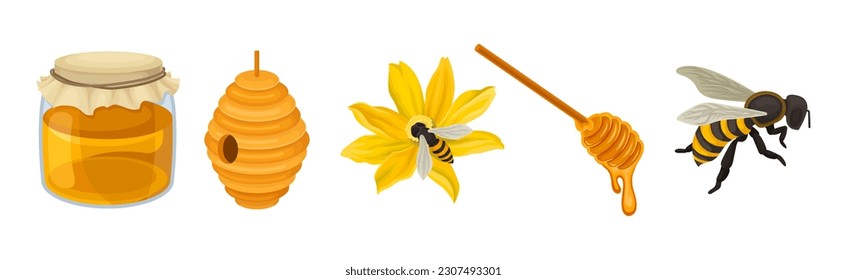 Honey with Jar, Hive, Bee and Dipper Vector Set