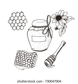 Honey in jar and honeycombs sketches. Natural honey pot and stick hand drawn illustration.