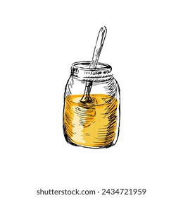 Honey jar and spoon hand drawn sketch in color. Vector illustration can used for wrapping paper, label, poster, cards. Engraved or ink vector honey illustrations. 