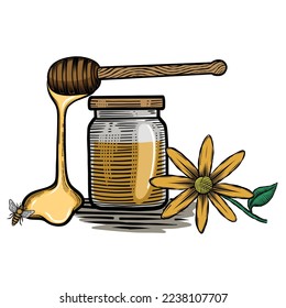 Honey jar, stick, bee, honey melt, chamomile, vintage set. Engraved organic food hand drawn sketch illustration. colorful isolated on white background.