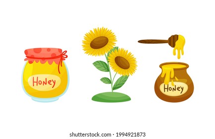 Honey Jar and Sunflower Plant with Fragrant Blossom Vector Set