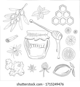 Honey jar, wooden spoon, bee, honeycomb, chamomile, vintage set. Engraved organic honey hand drawn sketch illustration. Set of  buckthorn, star anise and cinnamon, lemon, mint, ginger tea 