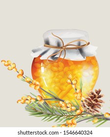 Honey jar with yellow berries and cinnamon inside. Green leaves and conifer cone on foreground. Christmas holiday vector