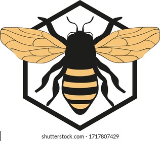 Honey label design. Concept for organic honey products, package design. Cartoon icon of honeycombs with bee. Natural farm product. Decorative flat vector element for jar of honey, promo poster, flyer.